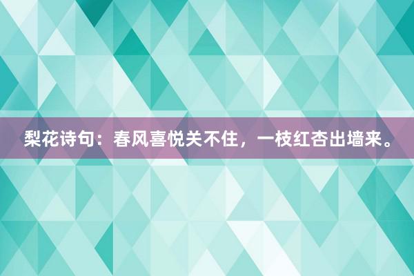 梨花诗句:春风喜悦关不住,一枝红杏出墙来。